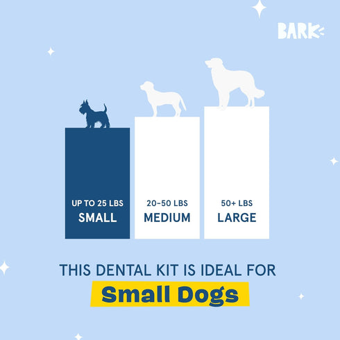 30 Barkbox Bright Original Dog Dental Kit, Teeth Cleaning Chew Sticks & Toothpaste - Small Breeds