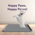 22 22 Pee Pad Tray Holder for Dogs - Fits Up to x in. Square Potty Training Pads No Spill Raised Lip High Edge Silicone
