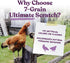Manna Pro 7-Grain Ultimate Chicken Scratch - Non-GMO Natural Ingredients Scratch Grain Treat for Chickens, 10 lbs