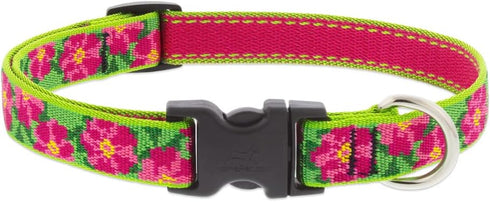 Lupine Large Dog Collar 3/4" Wide, Petunias Design Adjusts from 15" to 25"