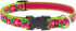 Lupine Large Dog Collar 3/4" Wide, Petunias Design Adjusts from 15" to 25"