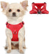 Dog Harness Step in Vest, Reflective Adjustable No Pull Harness for Small and Medium Dogs, Cats