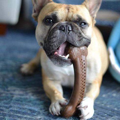 Pet Qwerks Flavorit BarkBone - Fillable Dog Bone for Moderate Chewers, Peanut Butter Flavor, 6.75"