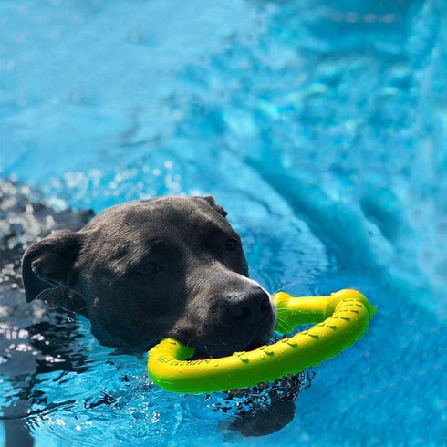 LaRoo Dog Toys for Aggressive Chewers, Floatable Dog Flying Disc, 3 Sizes Dog Tug Toy, Interactive Dog Toys