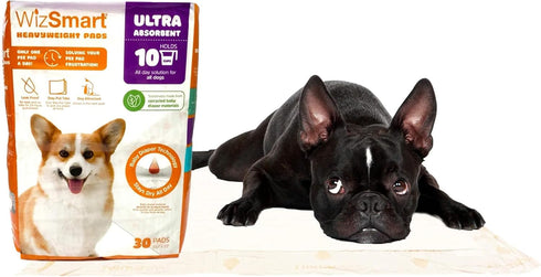 23.5" 22", 10 WizSmart Heavyweight Dog Pee Pads for Large Dogs, Puppies, Seniors Ultra Absorbent, Leak Proof, Odor