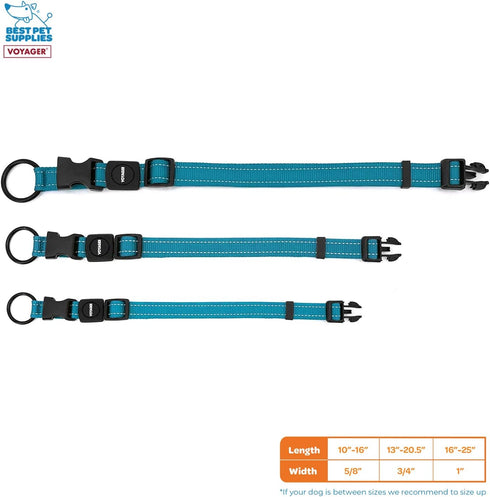 Best Pet Supplies Reflective Dog Collar, Adjustable Length, Heavy-Duty Buckle for Small, Medium, Large Breeds,