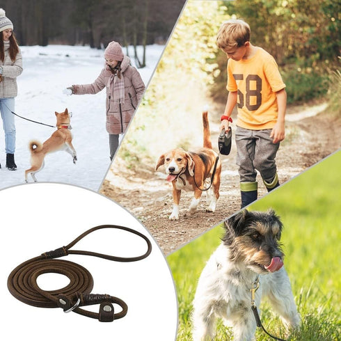 DONGKER Dog Slip Lead - 5ft 2-in-1 Leather Pet Training Walking Leash for Small Medium Large Dogs
