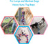 2 Pack 3.6 Feet Large Dog Chew Rope Heavy Duty Toys for Interactive Tug of War Play (Blue&Red)