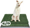 LITA Dog Grass Pad with Tray - Dog Litter Box with 2