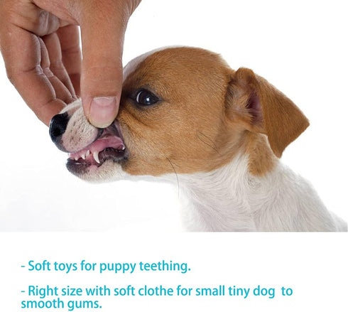 Puppy Toys for Teething Puppies, Plush Squeaky Bunny Dog Toys for Small Dogs, Pink, 4pcs