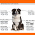 10 Blade Dog Grooming Clipper Replacement Blades, Compatible with Andis, Detachable Ceramic & Stainless Steel