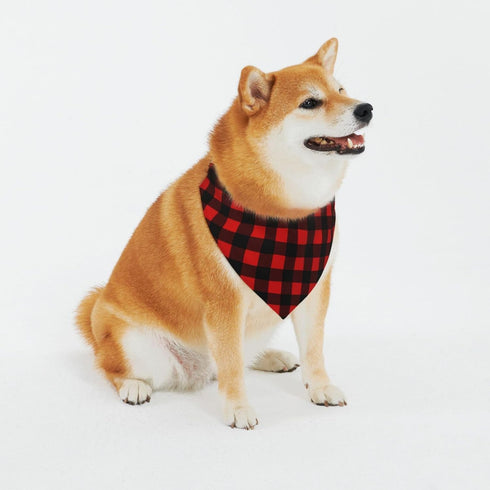 Personalized Dog Bandana with Name Custom Funny Neckwear Dog Scarf Triangle Bibs Kerchief Pet Costume Accessories