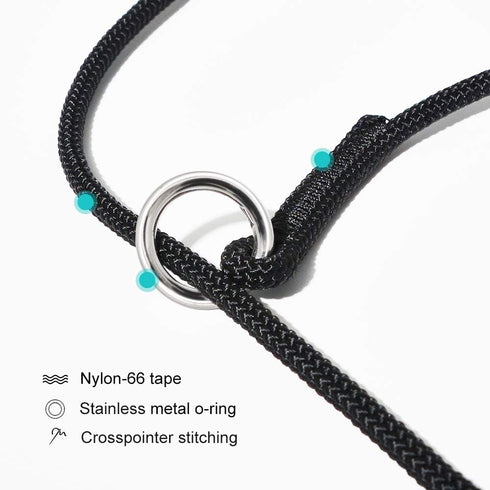 Dog Ultra-fine Leash, Slip Leads for Dogs, Training Leash for Small, Medium or Large Dogs, Seagreen, 1.4M Long