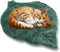 Cat Mat Self Warming Cat Bed 26"x20" Leaf Shaped Cotton Soft Warm
