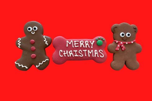 BoxDog Christmas Cookies for Dogs - Handmade Holiday Cookie Gift, Christmas Treats You Can Eat with Your Dog!