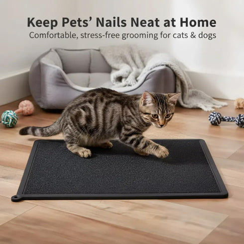 BXTSZZ Silicone Pet Nail Care Pad Claw Scratch Board for Dog and Cat File Toy Replaceable Sandpaper to Shorten a Pet