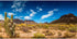 AWERT 72x16 inches Reptile Habitat Background, Blue Sky Oasis Cactus Desert Vinyl
