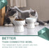 Ceramic Cat Bowls Anti Vomiting - Raised Food and Water Bowl Set for Cats and Small Dogs, 13.5 Oz