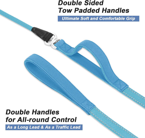 Slip Lead Dog Leash with Double Handle - Reflective Heavy Duty Nylon Slip Leash for Large Medium Small Dogs