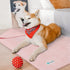PetAmi Waterproof Dog Blanket for Extra Large Dogs, Reversible Pee Proof Blanket for Indoor Cat, 90x90 Pink