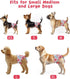 4 Pack FMG03S CuteBone Washable Female Dog Diapers Reusable Doggie Heat Diapers for Period