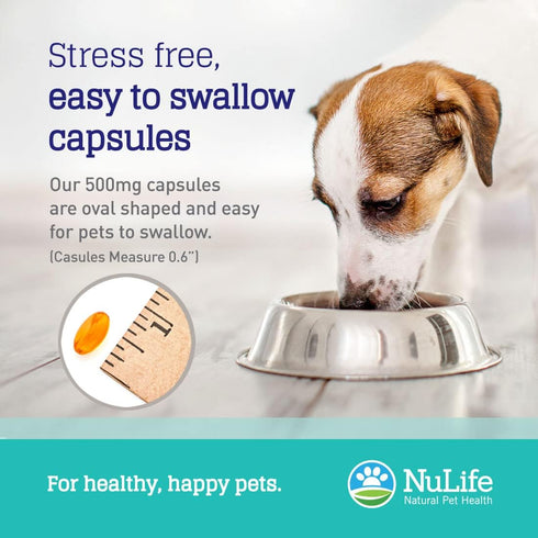 100% Pure Omega 3 Fish Oil for Dogs & Cats - Pet Supplement with DHA & EPA for Healthy Skin - 120 Capsules