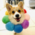 KUDES Adjustable Cat Small Dog Recovery Collar, Cute Neck Cone for Surgery, Wound Healing Protective Cone, Colorful (L,