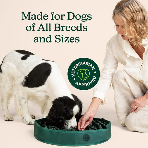 20" Reggie Snuffle Mat for Dogs, for Calming Support, Reducing Speed Eating, and Mental Stimulation, Durable & Easy