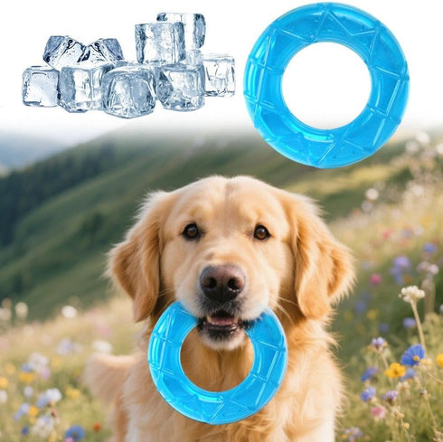 CTDWNT Pet Teether Cooling Chew Toy for Dogs,Dog Cooling Chew Toys Puppy Teething