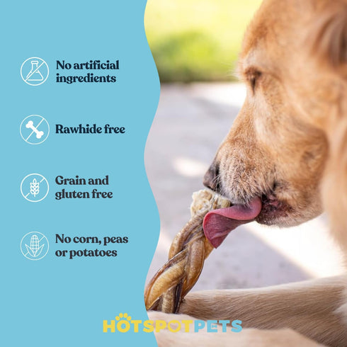 6 Inch (10 Pack) hotspot pets Braided Bully Sticks for Dogs - Stix All Natural Long Lasting Twisted Beef Pizzle Dog
