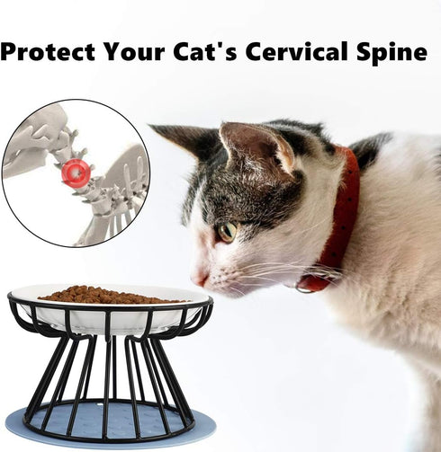 Cat Bowl, Ceramic Raised Cat Food Bowl, Elevated Anti Vomiting Feeding Bowl, Non Slip Dish for Cats