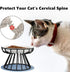 Cat Bowl, Ceramic Raised Cat Food Bowl, Elevated Anti Vomiting Feeding Bowl, Non Slip Dish for Cats