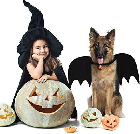 Halloween Dog Costume, Pet Bat Wings for Medium & Large Dogs, Adjustable Bat Wing Cosplay Apparel with Leash and Bells