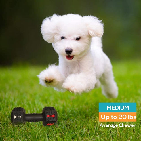 Dog Chew Toys for Aggressive Chewers, Indestructible Tough Natural Rubber Dumbbell Toy for Large Dogs