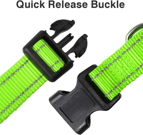 Taglory Reflective Adjustable Dog Collars for Puppy Small Medium Large Dogs with Quick Release Plastic Buckle (Green,