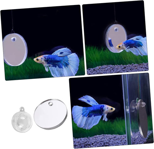 Beta Fish Tank Accessories Set, 1 Betta Training Mirror Double Sided Acrylic Float 6cm