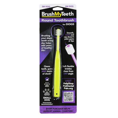 Small Dog Toothbrush, Rounded Brush Head with Soft Flexible Bristles for Gentle Brushing, Multicolor
