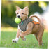 POPETPOP Dog Cooling Vest, Reflective Dog Cooling Coat with Adjustable Side Straps, Pet Cooler Jacket for Small, Medium