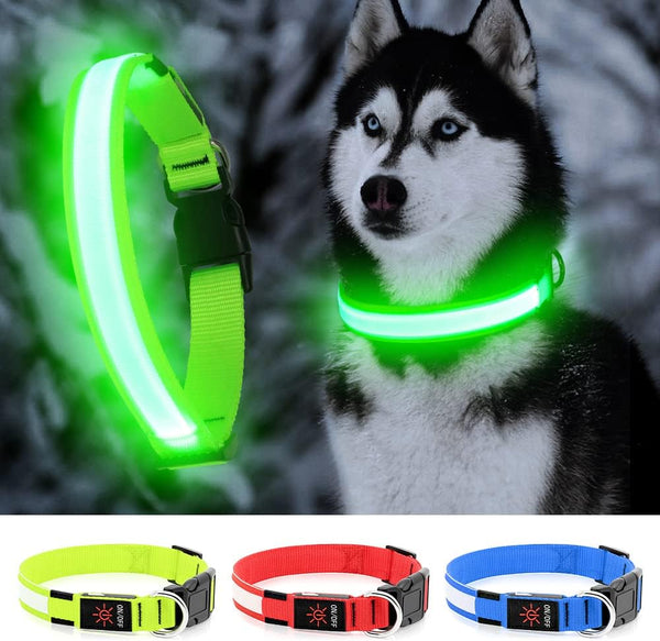 YFbrite Ultra Light Adjustable LED Dog Collar, Rechargeable Glowing in The Dark for Small, Medium, Large Dogs (Green,