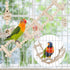 Bird Parrot Swing Toys, Chewing Standing Hanging Perch Hammock Climbing Ladder for Budgerigar, Parakeet, Conure,