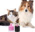 Dog Nail Polish Quick Dry Pet Nails Polish Set, 6 Pcs Water-Based Healthy Paw Grooming Dye Kit for All Pets