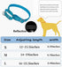 Martingale Dog Collars, Reflective Safety Puppy Collar, Adjustable Soft Nylon Training Dog Collar,Metal Accessories Heavy Duty No Pull Pet Collars for Small Medium Large Dogs (M, Blue)