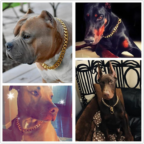 Gold Chain Dog Collar 11/15/19mm Wide Stainless Steel Cuban Link, Slip Choker Chew Proof for Small, Medium, Large Dogs