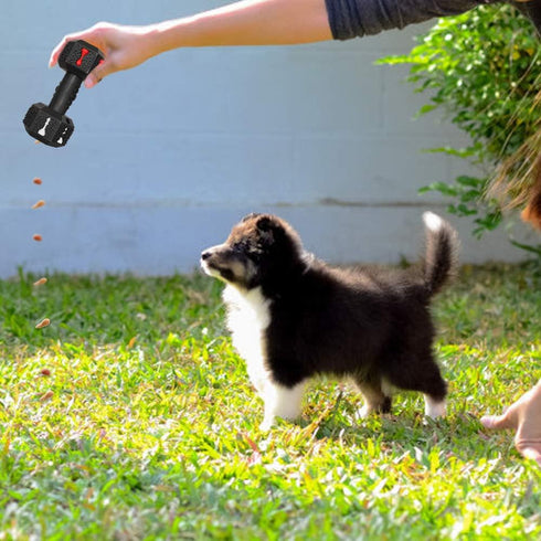 Dog Chew Toys for Aggressive Chewers, Indestructible Tough Natural Rubber Dumbbell Toy for Large Dogs
