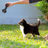 Dog Chew Toys for Aggressive Chewers, Indestructible Tough Natural Rubber Dumbbell Toy for Large Dogs
