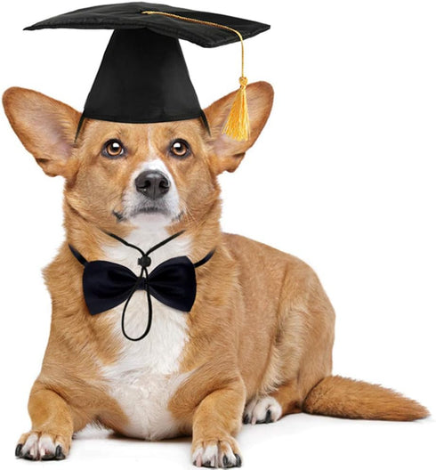 Dog Graduation Cap and Bowtie Collar Set, Pet Grad Costume