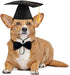 Dog Graduation Cap and Bowtie Collar Set, Pet Grad Costume