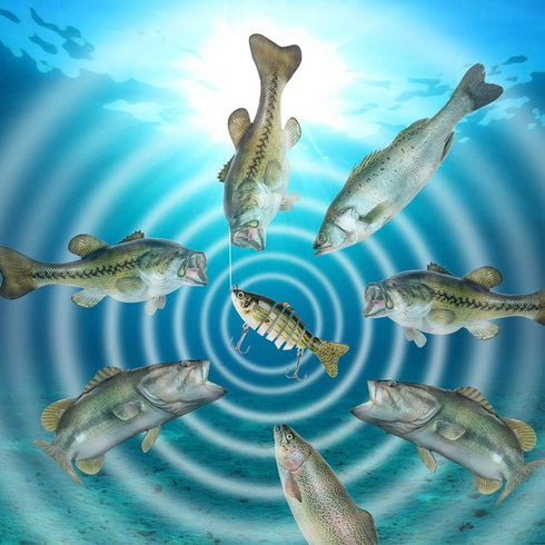 Lifelike Fishing Lures for Bass, Trout, Walleye | Realistic Multi Jointed Fish Popper Swimbaits - 3 Pack