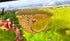 Bingche 4pcs 3 1 Hammock Aquatic Pet Lounge Aquarium Accessories Floating Hole Fish Shrimp Hiding Place