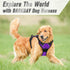 BARKBAY No Pull Dog Harness, Front Clip Heavy Duty Reflective Easy Control Handle for Large Dogs (Purple, S)
